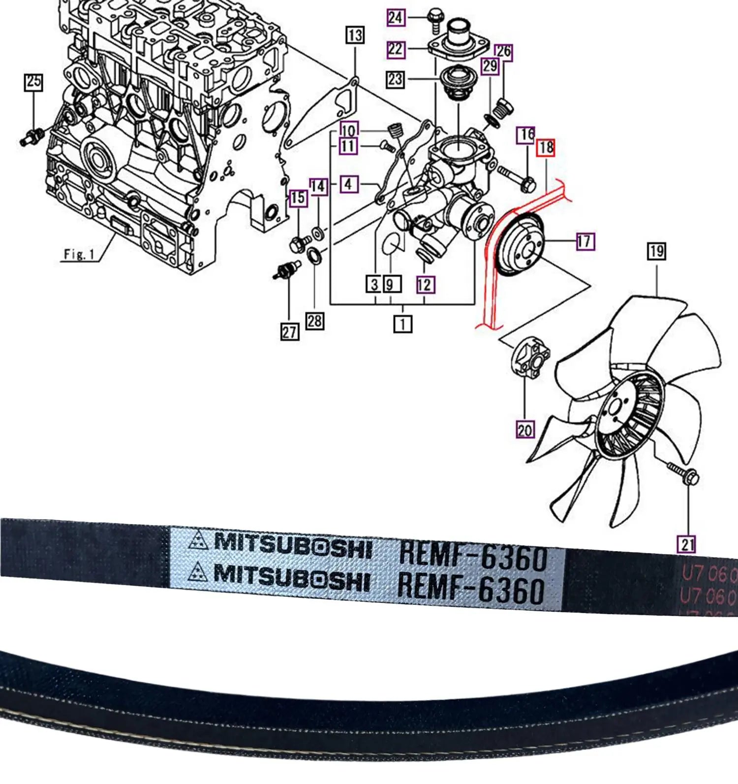 Mahindra Tractor Water Pump / Fan / Alternator Belt Mahindra Direct Parts