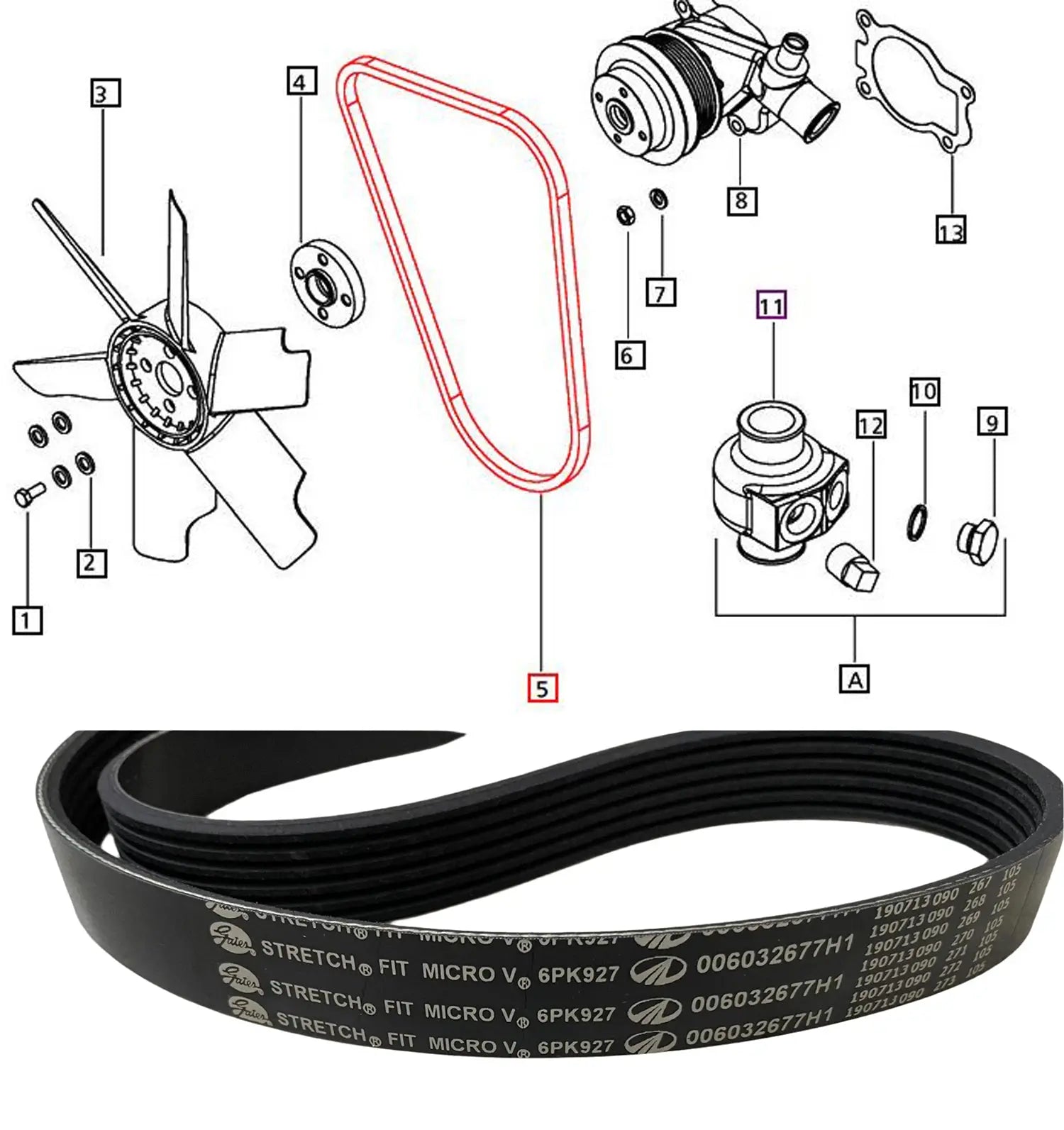 Mahindra Tractor Water Pump / Fan / Alternator Serpentine Belt Mahindra Direct Parts