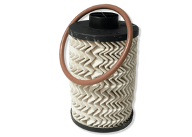 Mahindra Roxor Fuel Filter Element 1001CAA14881N Mahindra