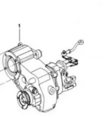 Mahindra Roxor Transfer Case Assembly 0703AAA00810N