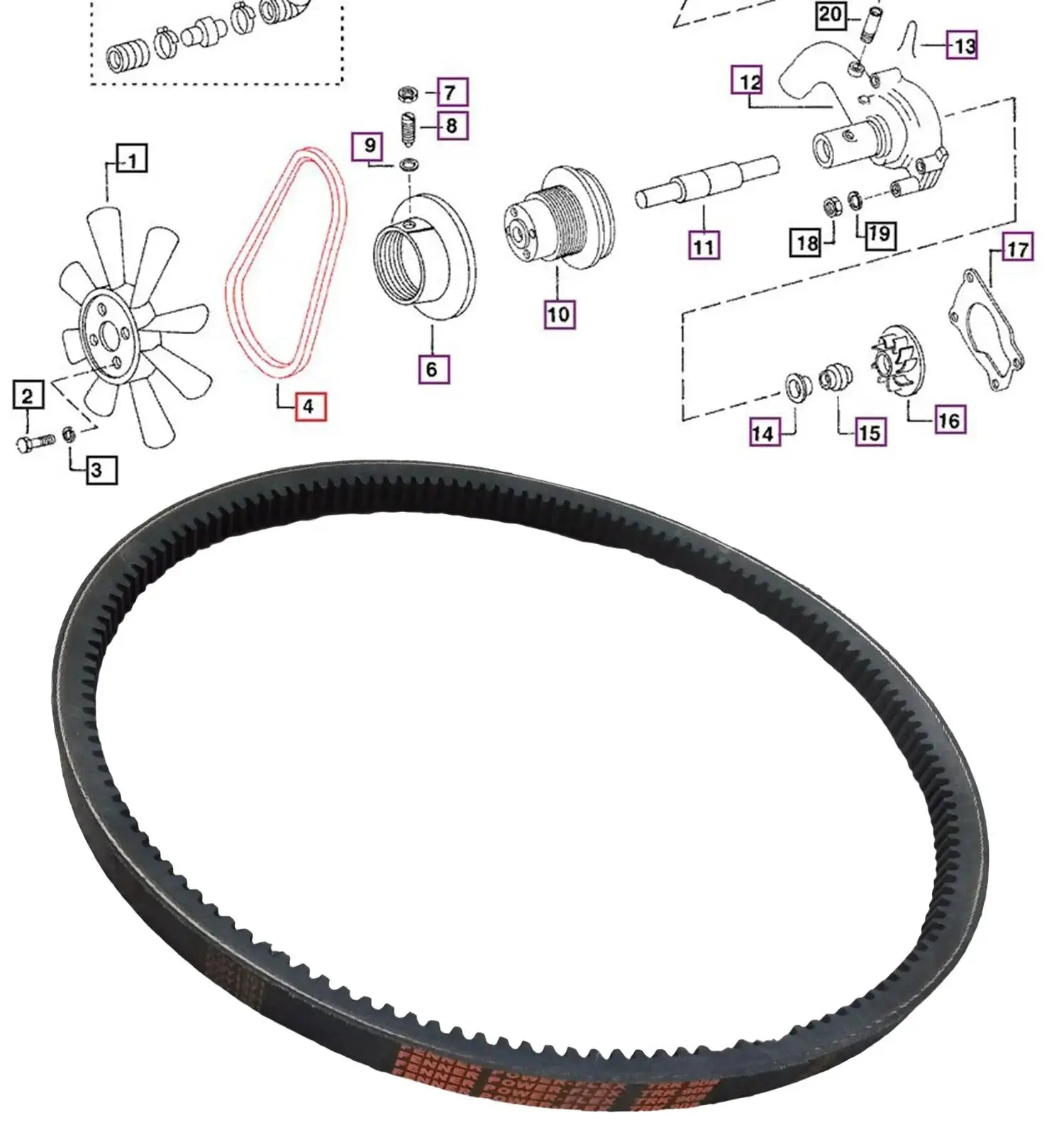 Mahindra Tractor Fan Belt 005554153R1 Mahindra Direct Parts