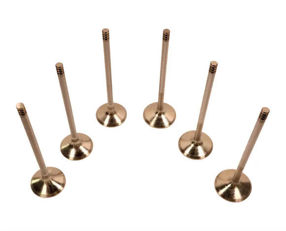 Mahindra Tractor Set Of Intake and Exhaust Valves 006008668F91 Mahindra Direct Parts