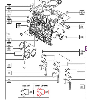 Mahindra Tractor Under Size Crankcase Bearing 719717-02911 Mahindra Direct Parts