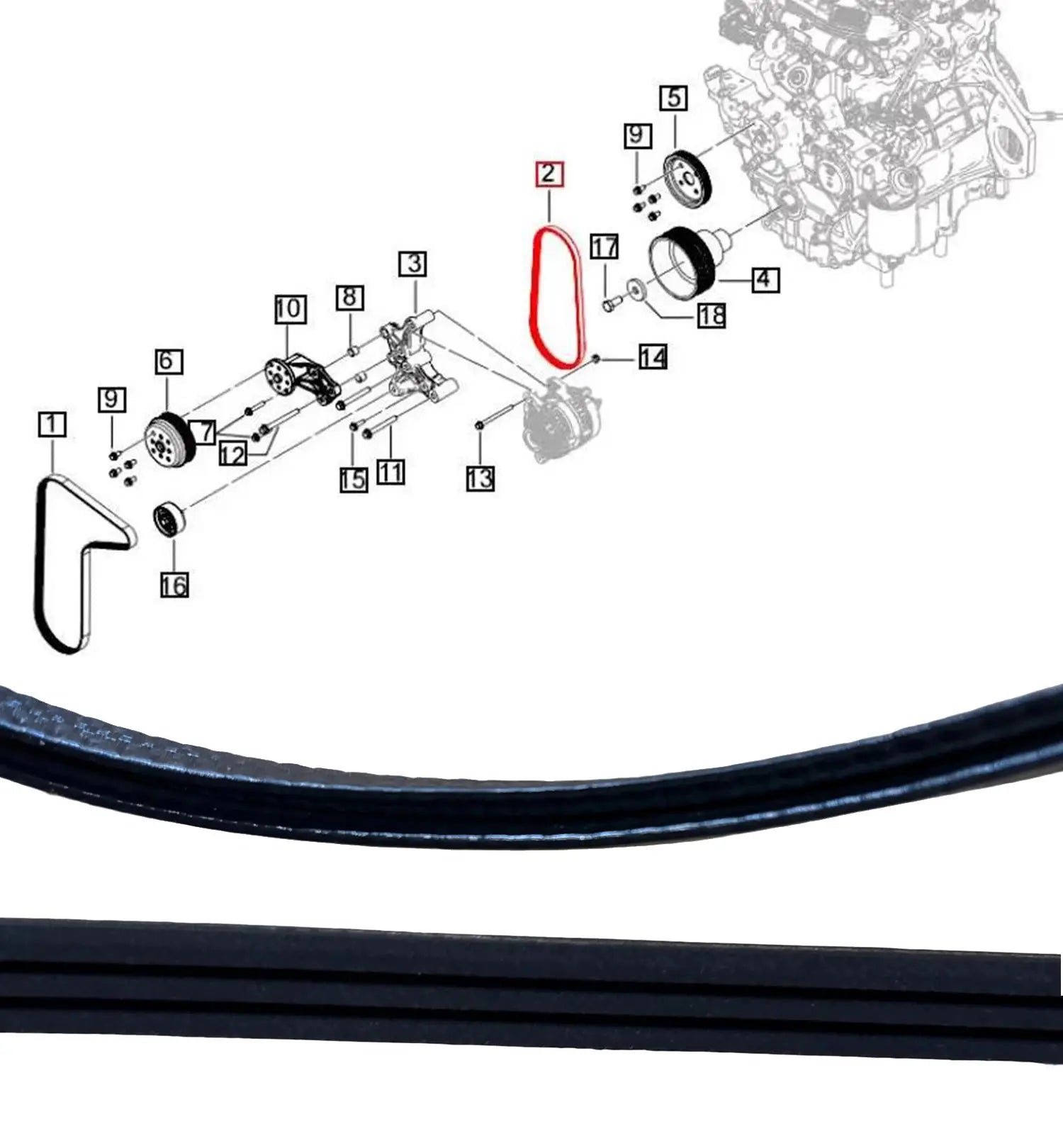 Mahindra Tractor Water Pump Belt Mahindra Direct Parts